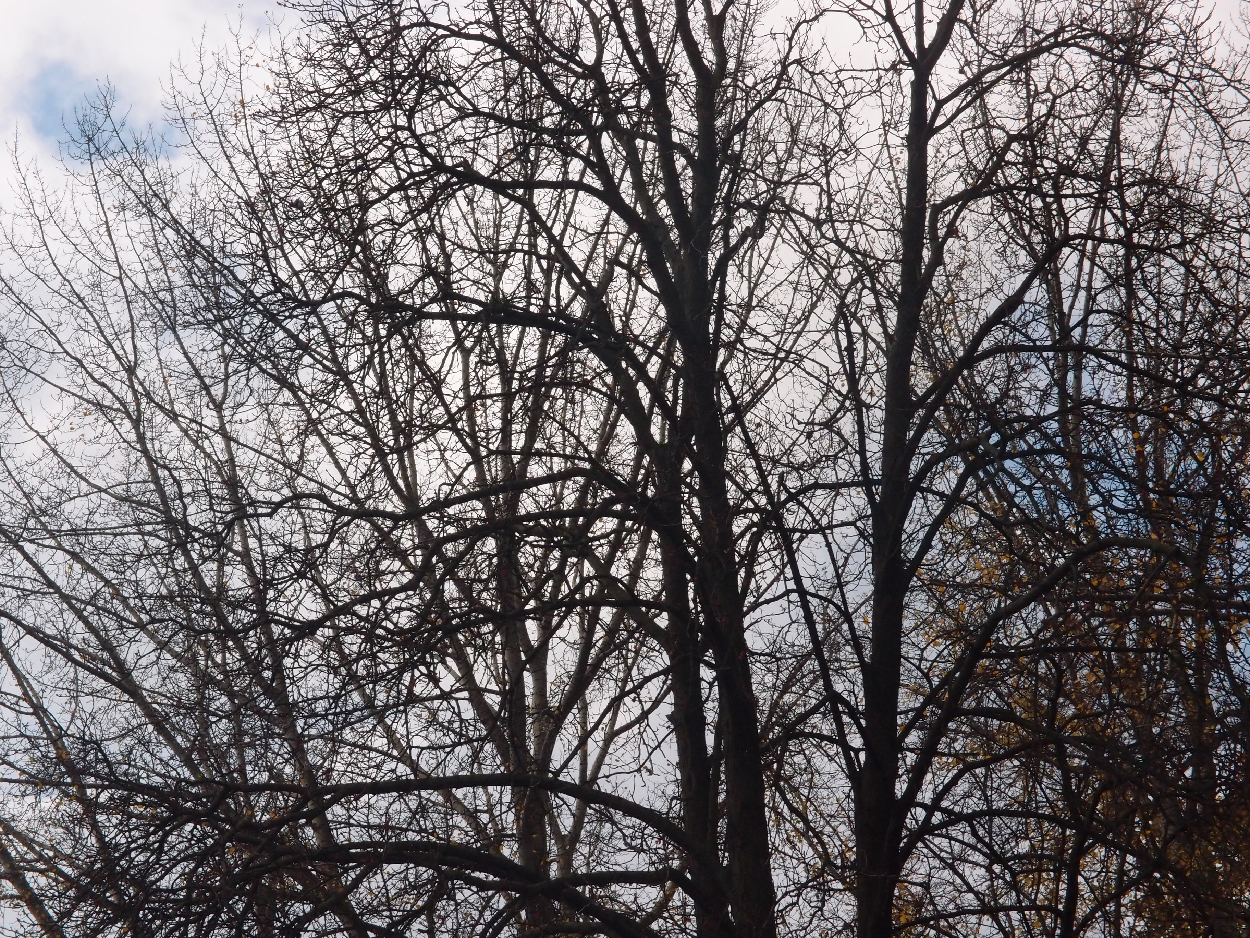 003 2015-11-10 durch die Stadt (Dat Tape 2)